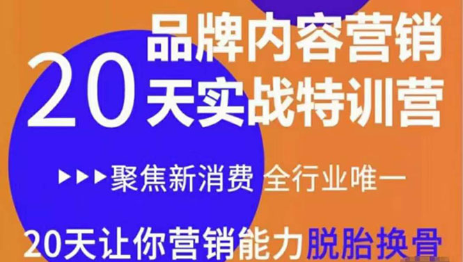 《内容营销实操特训营》20天让你营销能力脱胎换骨（价值3999）-杨大侠副业网