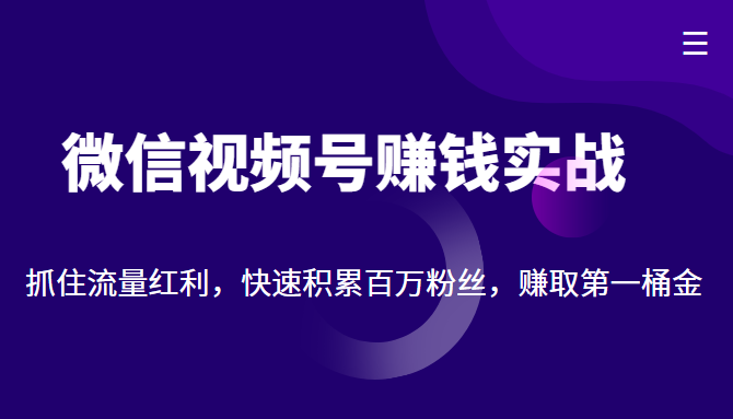 微信视频号赚钱实战：抓住流量红利，快速积累百万粉丝，赚取你的第一桶金-杨大侠副业网