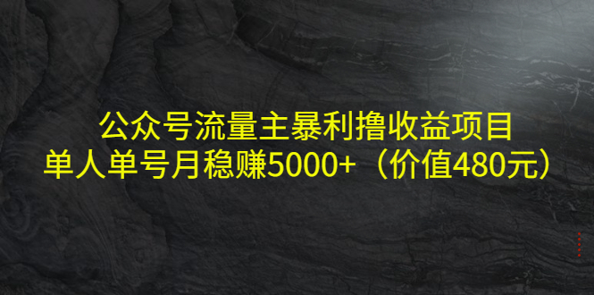 公众号流量主暴利撸收益项目，单人单号月稳赚5000+（价值480元）-杨大侠副业网