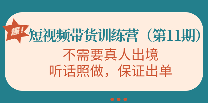 视频带货训练营，不需要真人出境，听话照做，保证出单（第11期）-杨大侠副业网