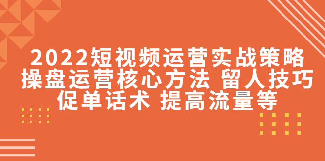 2022短视频运营实战策略：操盘运营核心方法 留人技巧促单话术 提高流量等-杨大侠副业网