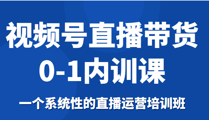 视频号直播带货0-1内训课，一个系统性的直播运营培训班-杨大侠副业网