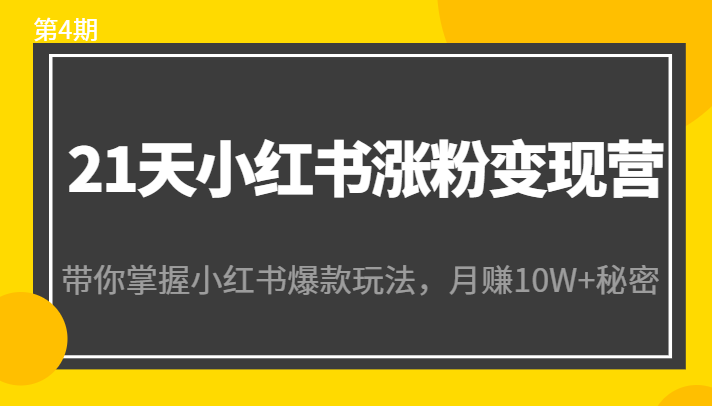 21天小红书涨粉变现营（第4期）：带你掌握小红书爆款玩法，月赚10W+秘密-杨大侠副业网