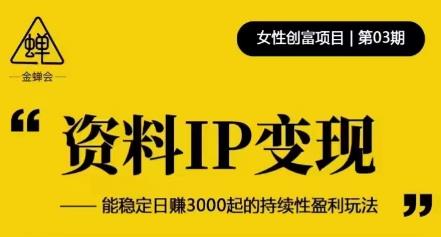 资料IP变现，能稳定日赚3000起的持续性盈利玩法-杨大侠副业网