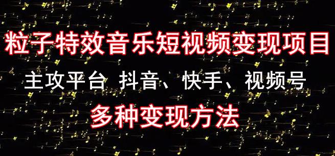 黄岛主《粒子特效音乐短视频变现项目》主攻平台抖音、快手、视频号多种变现方法-杨大侠副业网