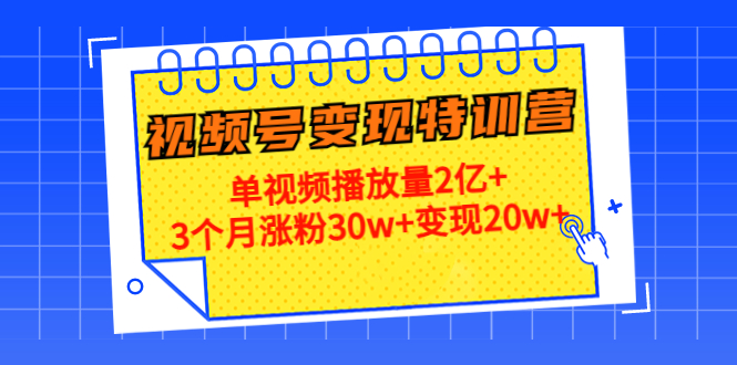 21天视频号变现特训营：单视频播放量2亿+3个月涨粉30w+变现20w+（第14期）-杨大侠副业网