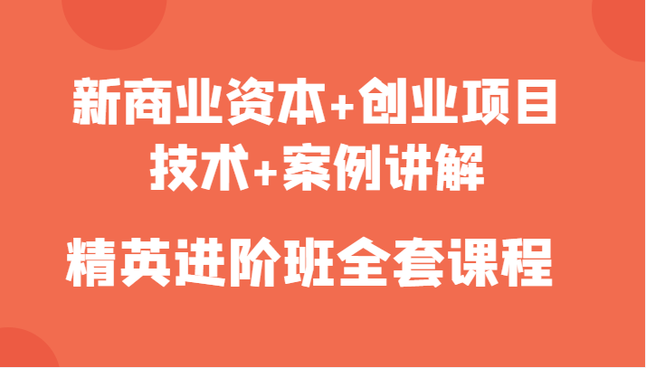 新商业资本+创业项目，技术+案例讲解，精英进阶班全套课程-杨大侠副业网