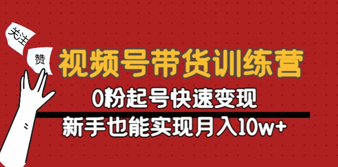 视频号带货训练营：0粉起号快速变现，新手也能实现月入10w+-杨大侠副业网