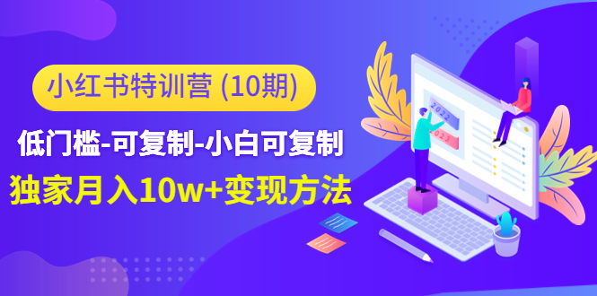 小红书特训营（第10期）低门槛-可复制-小白可复制-独家月入10w+变现方法-杨大侠副业网