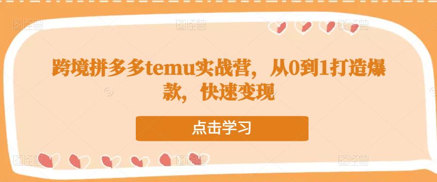 跨境拼多多temu实战营，从0到1打造爆款，快速变现-杨大侠副业网