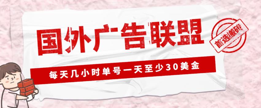 外面收费1980的最新国外LEAD广告联盟搬砖项目，单号一天至少30美金【详细玩法教程】-杨大侠副业网