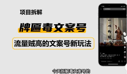 2023抖音快手毒文案新玩法，牌匾文案号，起号快易变现-杨大侠副业网