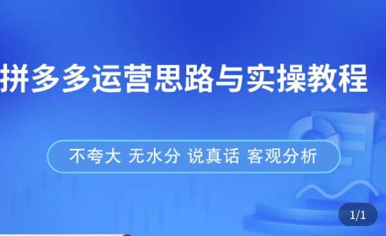 拼多多店铺运营思路与实操教程，快速学会拼多多开店和运营，少踩坑，多盈利-杨大侠副业网