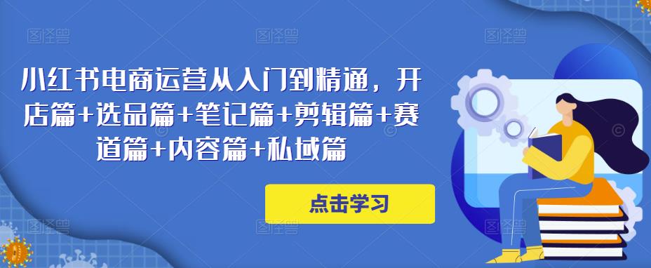 小红书电商运营从入门到精通，开店篇+选品篇+笔记篇+剪辑篇+赛道篇+内容篇+私域篇-杨大侠副业网