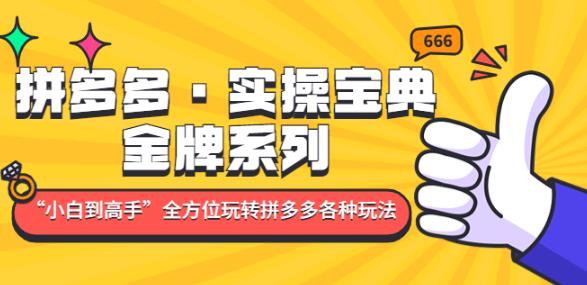 拼多多·实操宝典：金牌系列“小白到高手”带你全方位玩转拼多多各种玩法-杨大侠副业网