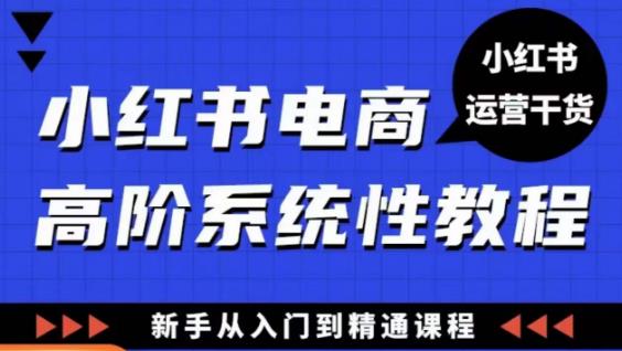 小红书电商高阶系统教程，新手从入门到精通系统课-杨大侠副业网