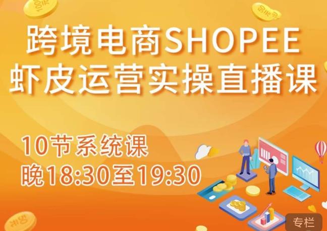 跨境电商Shopee虾皮运营实操直播课，从零开始学，入门到精通（10节系统课）-杨大侠副业网