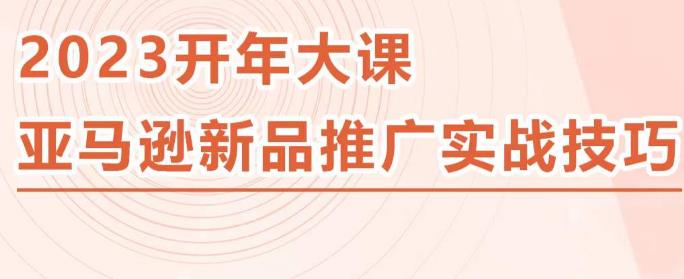 2023亚马逊新品推广实战技巧，线下百万美金课程的精简版，简单粗暴可复制，实操性强的推广手段-杨大侠副业网