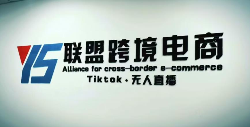 YS联盟·Tiktok无人直播，不出镜不剪辑不拍摄不发货无售后的跨境短视频躺赚玩法-杨大侠副业网