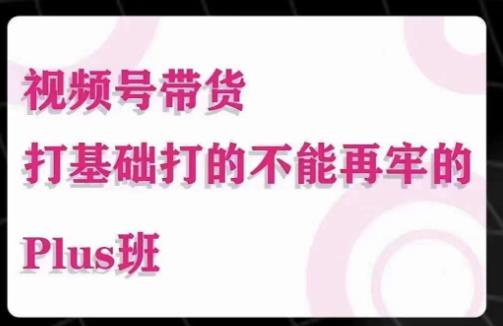 大播汇·视频号带货Puls班，视频号底层逻辑，起号自然流鱼塘等玩法-杨大侠副业网