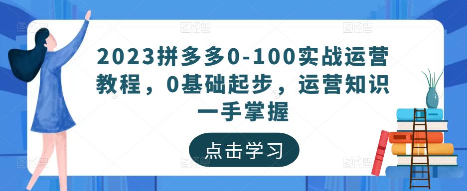 2023拼多多0-100实战运营教程，0基础起步，运营知识一手掌握-杨大侠副业网