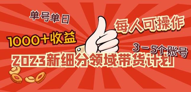 2023新细分领域带货计划：单号单日1000+收益不难，每人可操作3-5个账号-杨大侠副业网