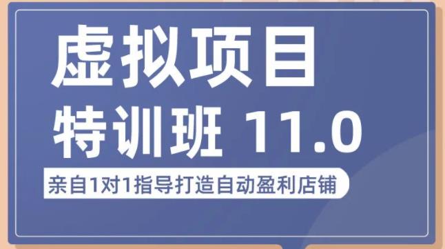 陆明明·虚拟项目特训班（10.0+11.0），0成本获取虚拟素材，0基础打造自动盈利店铺-杨大侠副业网