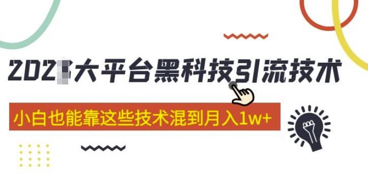 大平台黑科技引流技术，小白也能靠这些技术混到月入1w+(2022年的课程）-杨大侠副业网