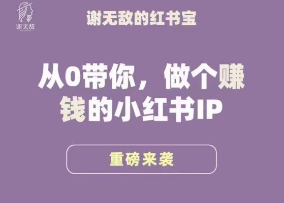 谢无敌·小红书运营大宝典，从0带你做个赚钱的小红书IP-杨大侠副业网