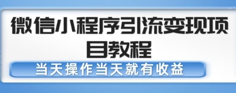 微信小程序引流变现项目教程，当天操作当天就有收益，变现不再是难事-杨大侠副业网