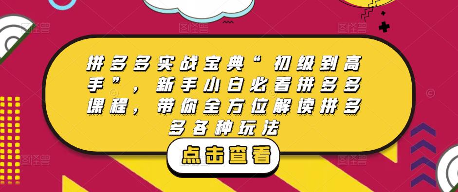 拼多多实战宝典“初级到高手”，新手小白必看拼多多课程，带你全方位解读拼多多各种玩法-杨大侠副业网