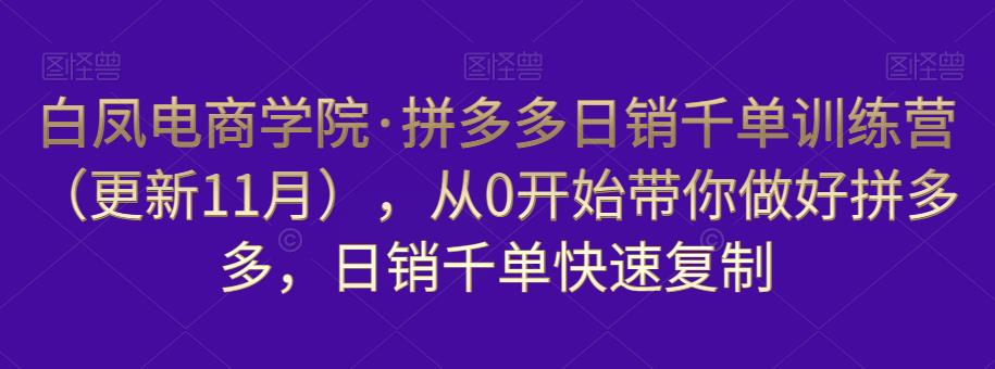 白凤电商学院·拼多多日销千单训练营，从0开始带你做好拼多多，日销千单快速复制（更新知2023年3月）-杨大侠副业网