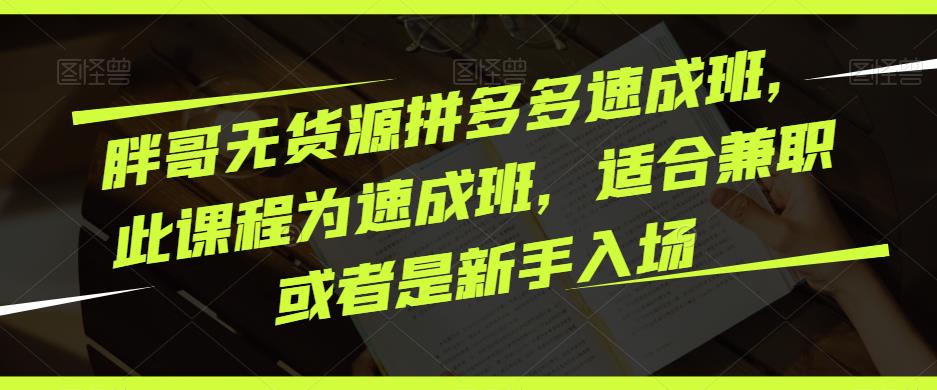 胖哥无货源拼多多速成班，此课程为速成班，适合兼职或者是新手入场-杨大侠副业网