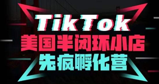 疯人院·TikTok美国半闭环小店孵化营，抢占TikTok美国蓝海市场，开店、运营、带货、投流全实操-杨大侠副业网