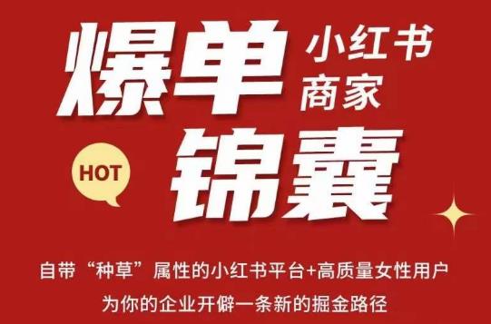 无畏·小红书商家爆单锦囊，掌握小红书各大规则，快速精准抢占行业和市场-杨大侠副业网