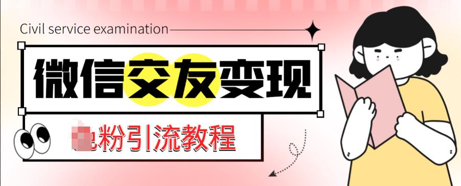 微信交友变现项目，吸引全网LSP男粉精准变现，小白也能轻松上手，日入500+-杨大侠副业网