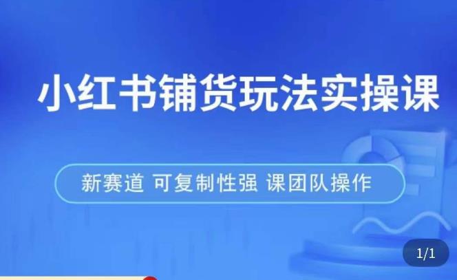 小红书铺货玩法实操课，流量大，竞争小，非常好做，新赛道，可复制性强，可团队操作-杨大侠副业网