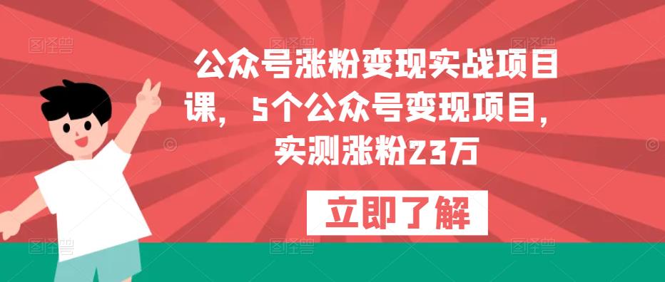 公众号涨粉变现实战项目课，5个公众号变现项目，实测涨粉23万-杨大侠副业网