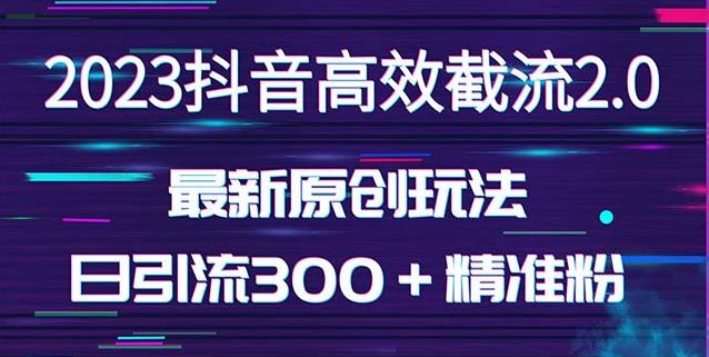 日引300＋创业粉，独家抖音高效截流2.0玩法（价值1280）-杨大侠副业网