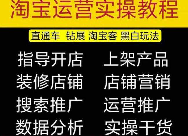 2023淘宝开店教程0基础到高级全套视频网店电商运营培训教学课程-杨大侠副业网