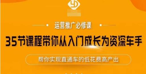 35节课程带你从入门成长为资深车手，让系统学习直通车成为可能，帮你实现直通车的低花费高产出-杨大侠副业网