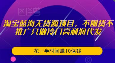 淘宝蓝海无货源项目，不囤货不推广只做冷门高利润代发，花一半时间赚10倍钱-杨大侠副业网