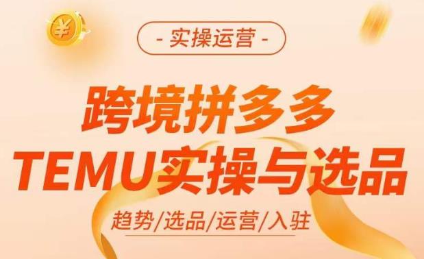 跨境拼多多TEMU实操与选品，​掌握平台运营方法技巧，选品避坑12条标准，爆款的底层思路等-杨大侠副业网