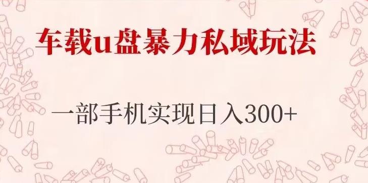 车载u盘暴力私域玩法，长期项目，仅需一部手机实现日入300+-杨大侠副业网