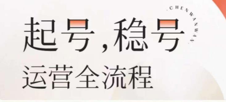 婉婉-起号稳号运营全流程，解决从小白到进阶所有运营知识，帮助解决账号所有运营难题-杨大侠副业网