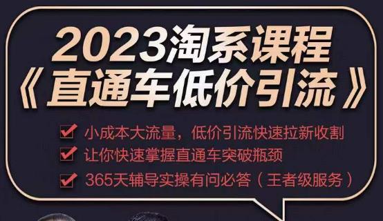 2023直通车低价引流玩法课程，小成本大流量，低价引流快速拉新收割，让你快速掌握直通车突破瓶颈-杨大侠副业网