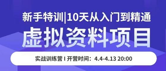 虚拟资料项目新手特训，10天从入门到精通，保姆级实操教学-杨大侠副业网