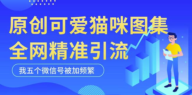 黑科技纯原创可爱猫咪图片，全网精准引流，实操5个VX号被加频繁-杨大侠副业网