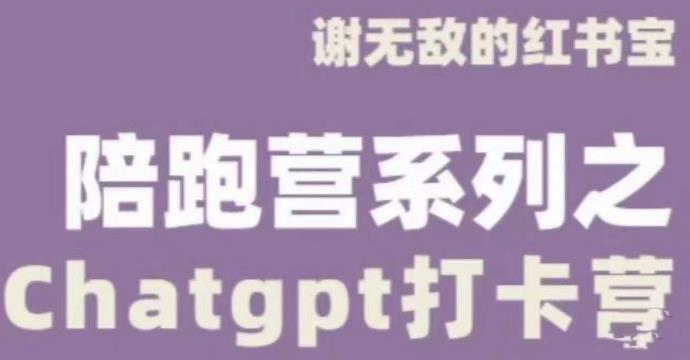 谢无敌ChatGPT打卡营，教你更好地使用ChatGPT来提高工作效率-杨大侠副业网