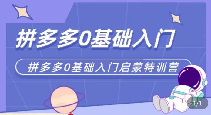 六一电商·拼多多运营0-1实操特训营，拼多多从基础到进阶的可实操玩法-杨大侠副业网